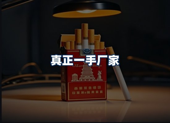 专业团队办公环境